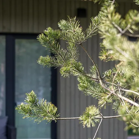 Prie Juros דירה *