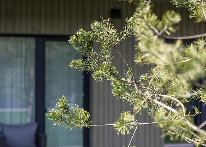 Prie Juros Apartman *